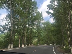 -汉拿山温泉度假酒店