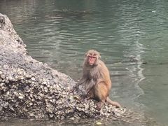 -天宫洞