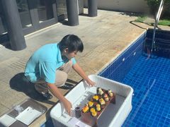 -三亚亚龙湾雅高铂尔曼别墅度假酒店