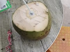 -东郊椰林