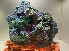 -甘肃地质博物馆