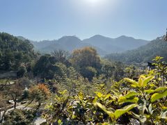 -黄陂区野村谷景区