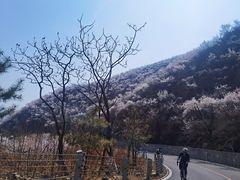 -妙峰山风景名胜区