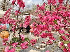 -桃源山庄·水蜜桃采摘·柴火鸡·烧烤团建(龙泉山店)