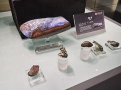 -中华赏石园