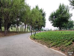 -长白岛森林公园