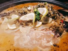 -探鱼·鲜青椒爽麻烤鱼(苏宁广场店)
