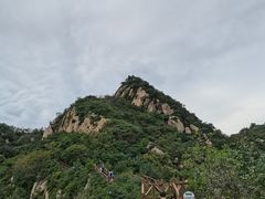-大岭沟猕猴桃谷风景区