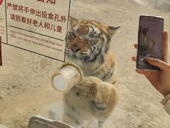 -济南野生动物世界