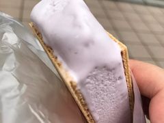 -詹爷爷乌节路街头冰淇淋