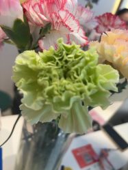-Dr.林醫生产后修复·配方产康店(南京大厂店)