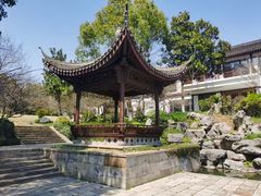 -龙坞茶村
