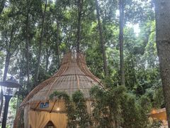 -二荆条·蜀鲜汇城市森林火锅