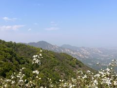 -阳台山自然风景区