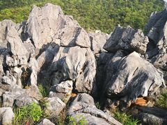 -千岛湖石林