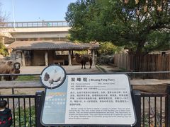 -南昌动物园