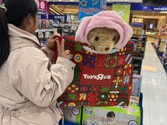 -TOYSRUS玩具反斗城(合肥华润万象城店)