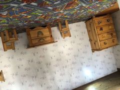 -金山农民画村-枫泾波兰倒置屋