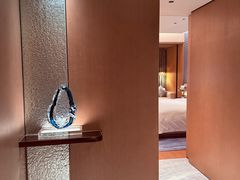 -深圳国际会展中心希尔顿酒店(前海华发冰雪世界店)