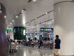 -麦当劳(北京大兴机场二层国内到达(安检外)店)