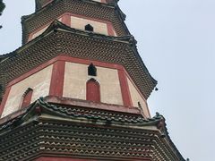 -广州莲花山旅游区