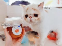 -稀物集咖啡(徽州大道店)