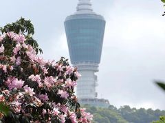 -梧桐山风景名胜区