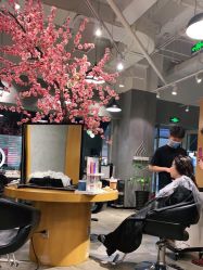 -时尚殿堂明星门店