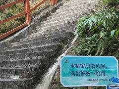 -广州白江湖森林公园