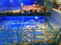 -星海汇海鲜烤肉火锅自助(二七广场百年德化店)