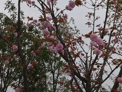 -湘湖金融镇