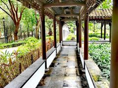 -九龙寨城公园