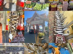 -大湾区中央湿地公园-十九涌