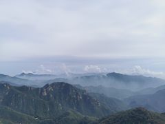 -大岭沟猕猴桃谷风景区
