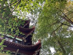 -香园自助小火锅