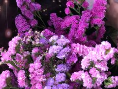 -三圣花乡旅游区