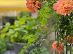 -T-COFFEE(长江花园店)