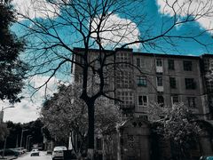 -广西大学(大学东路校区)
