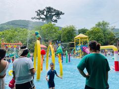 -苏州乐园森林水世界