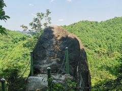 -南山植物园