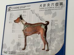 -瑞派·爱瑞可动物医院·口腔专科(广华新城分院)