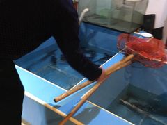 -金明姬铁锅炖(东坝店)