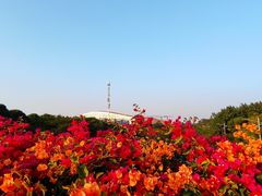 -云溪植物园