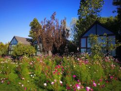 点击看大图 -圣露庄园·草坪婚礼·宴会厅·会议