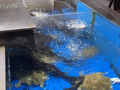 -炊江南·上海菜(国展华漕店)