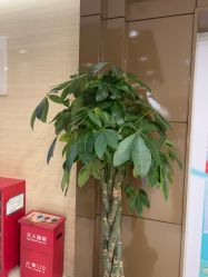 -重庆星宸整形美容医院