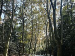 -灵谷景区