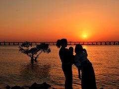 -宝安西湾红树林湿地公园