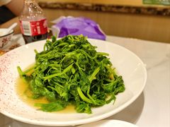 -雅酌园百姓菜馆(颐和路店)