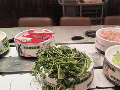-龍歌自助小火锅(雨花台江南虹悦城店)